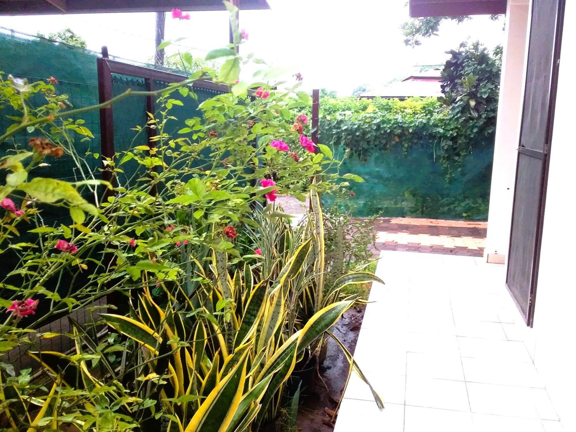 Belle Maison F3 Papeete  Kültér fotó